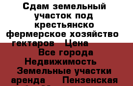 Сдам земельный участок под крестьянско-фермерское хозяйство 20 гектаров › Цена ­ 10 000 - Все города Недвижимость » Земельные участки аренда   . Пензенская обл.,Мокшанский р-н